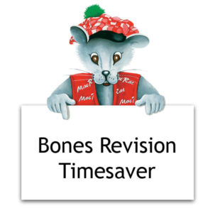 Bones Revision Timesaver: King Lear